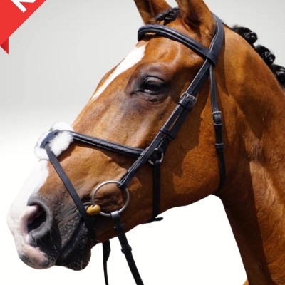 Image of GFS Transition Grackle Bridle