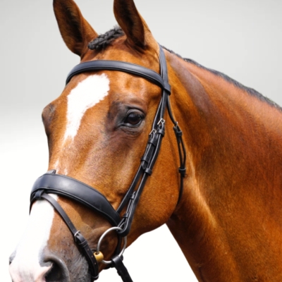 Image of GFS Transition Combi Dressage Bridle