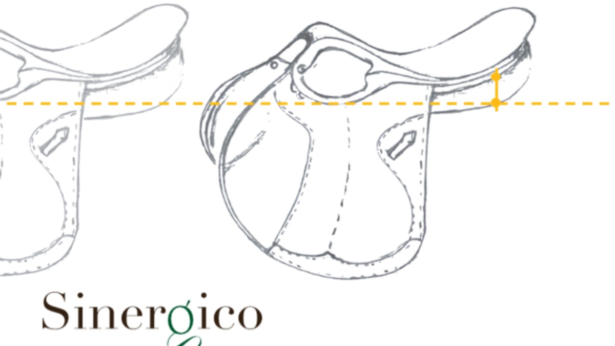 Amerigo Saddle
