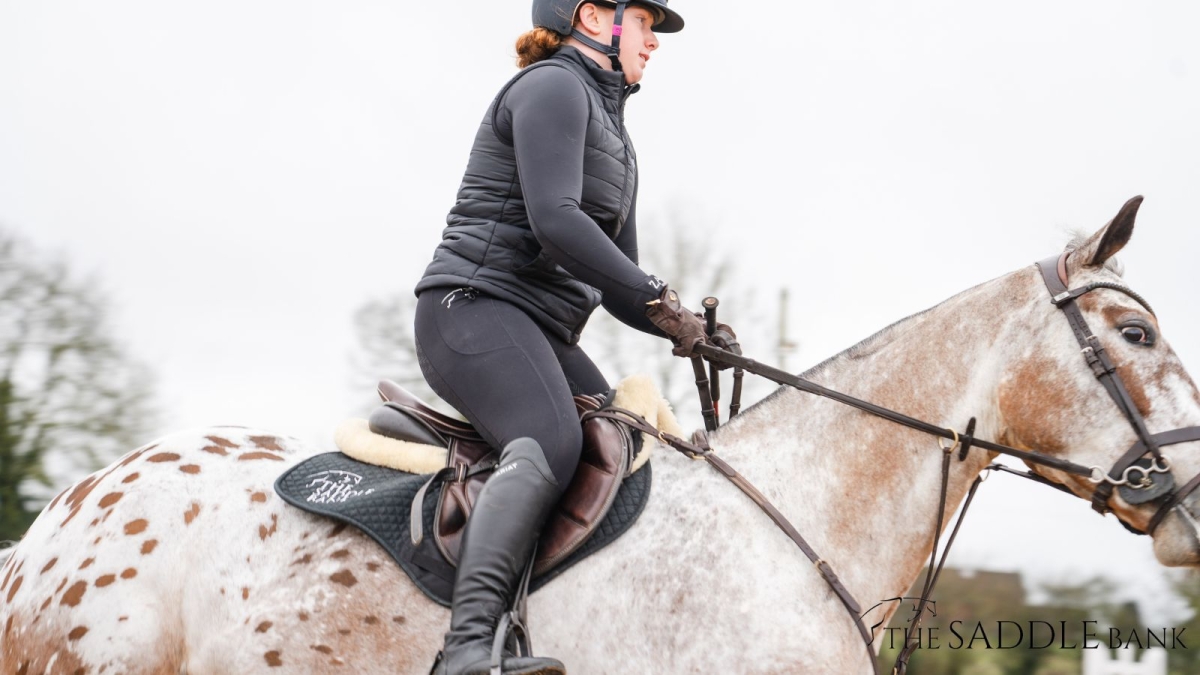 Recognising Saddle Fit Issues Course
