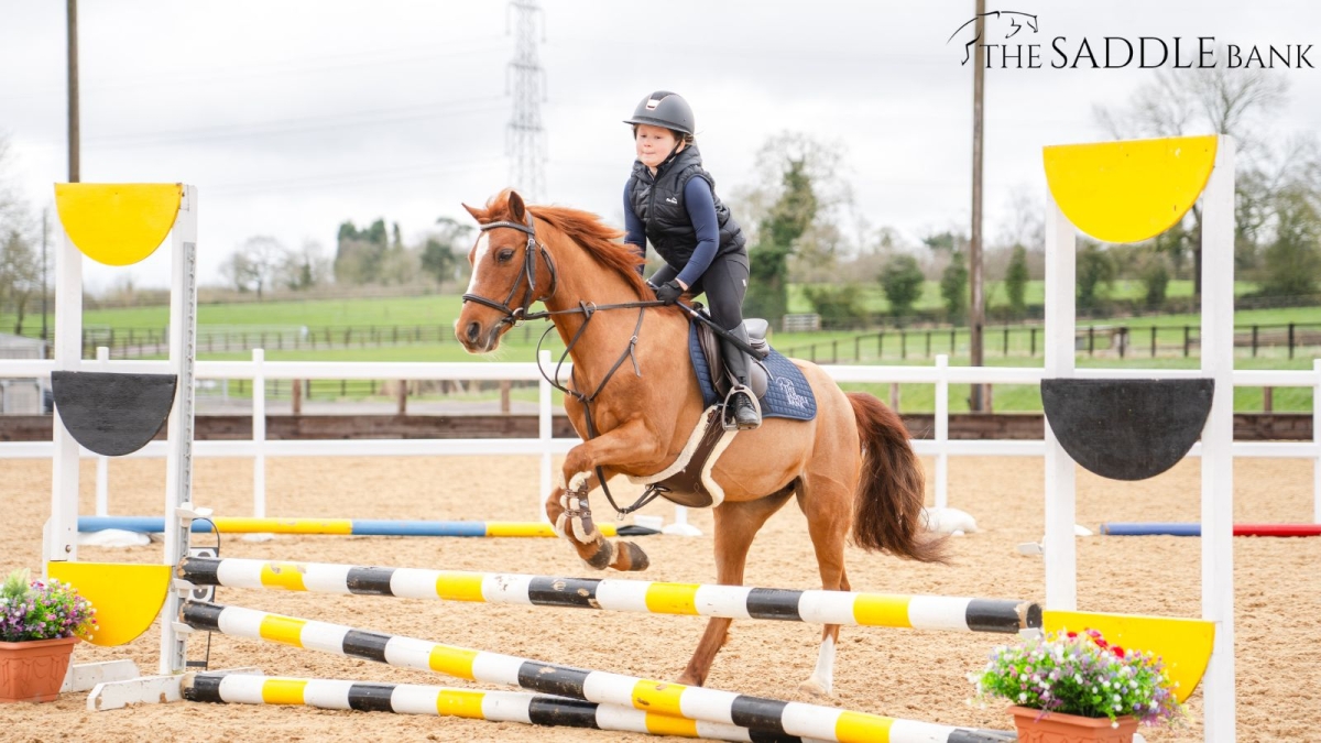How Often Should Your Saddle Be Reflocked?