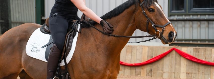 What is a Dressage Saddle?