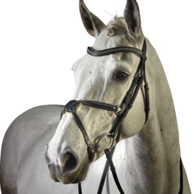 Image of GFS Monarch Grackle Bridle