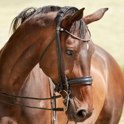 Image of Finesse Cayenne Double Bridle