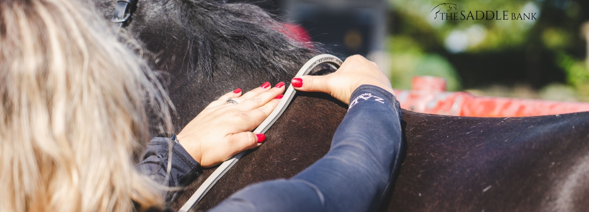 saddle fitting course