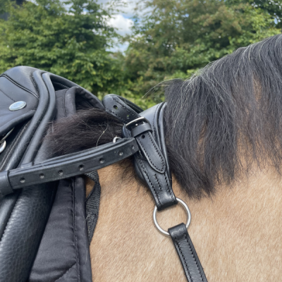 Image of Evo Equine Safe Balance Neck Strap