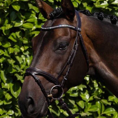 Image of Premier Equine Rivere Snaffle Bridle