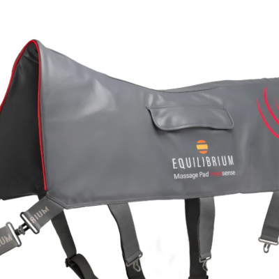 Image of Equilibrium Massage Pad Heatsense