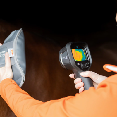 Image of Equilibrium Massage Mitt Hotspot