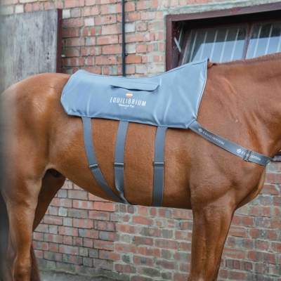 Image of Equilibrium Massage Pad