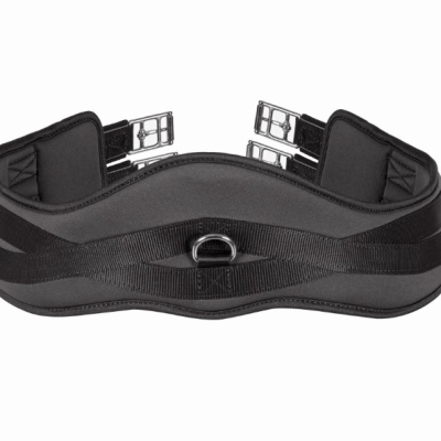 Image of Shires ARMA Memory Foam Anatomical Girth